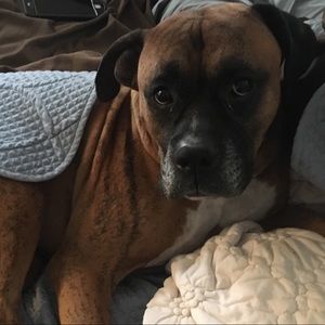 Meet your Posher, Stacy